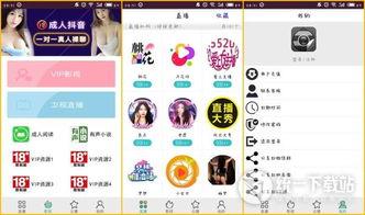 成人直播盒子app,带你走进虚拟互动新世界